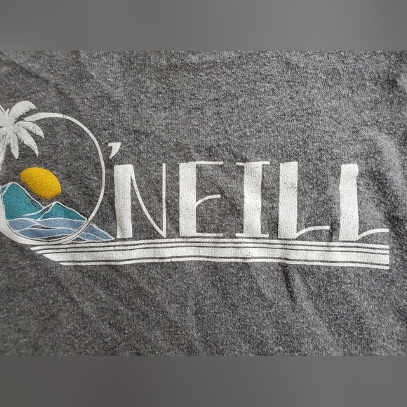 O'Neill Girls Graphic Logo Fleece Gray Hoodie - Picture 9 of 9